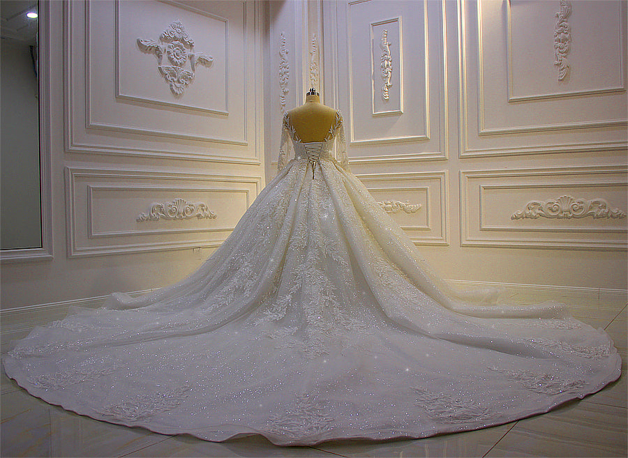 AM115 Long Sleeve Lace Applique Patterns Stunning Luxury Wedding Dress